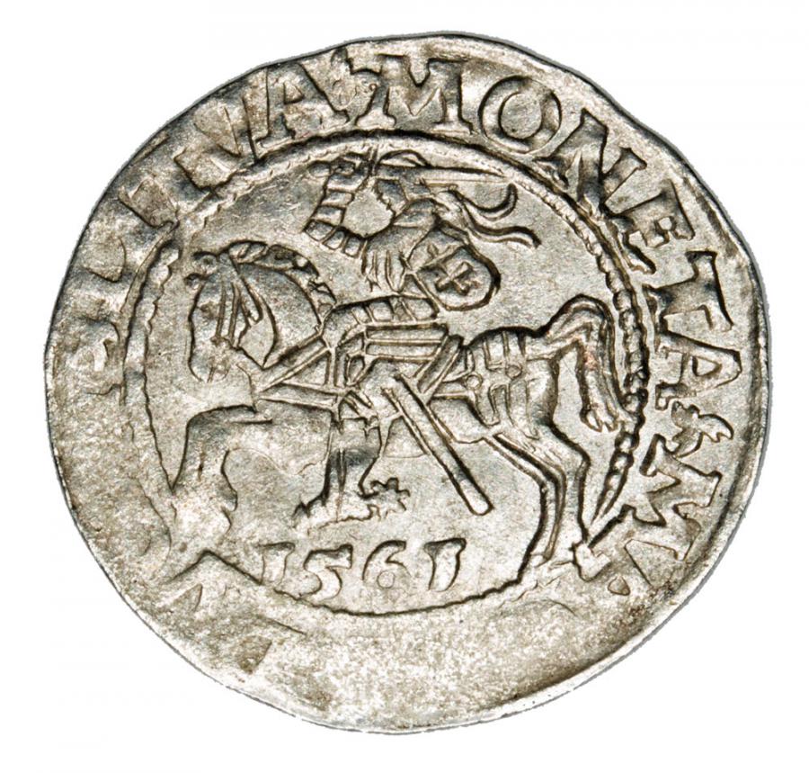 Demi-grosz 1561 Sigismond II Auguste Lituanie Vilnius