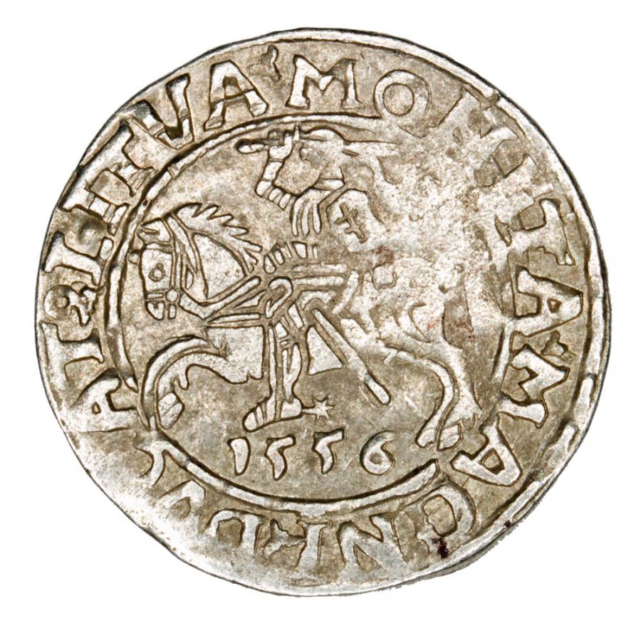 Demi-grosz 1556 Sigismond II Auguste Lituanie Vilnius