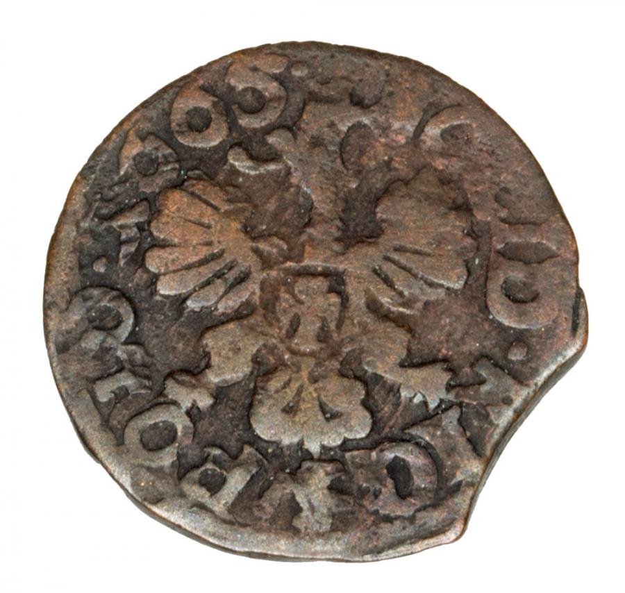 Szeląg 1665 Jan Kazimierz Pologne Ujazdów