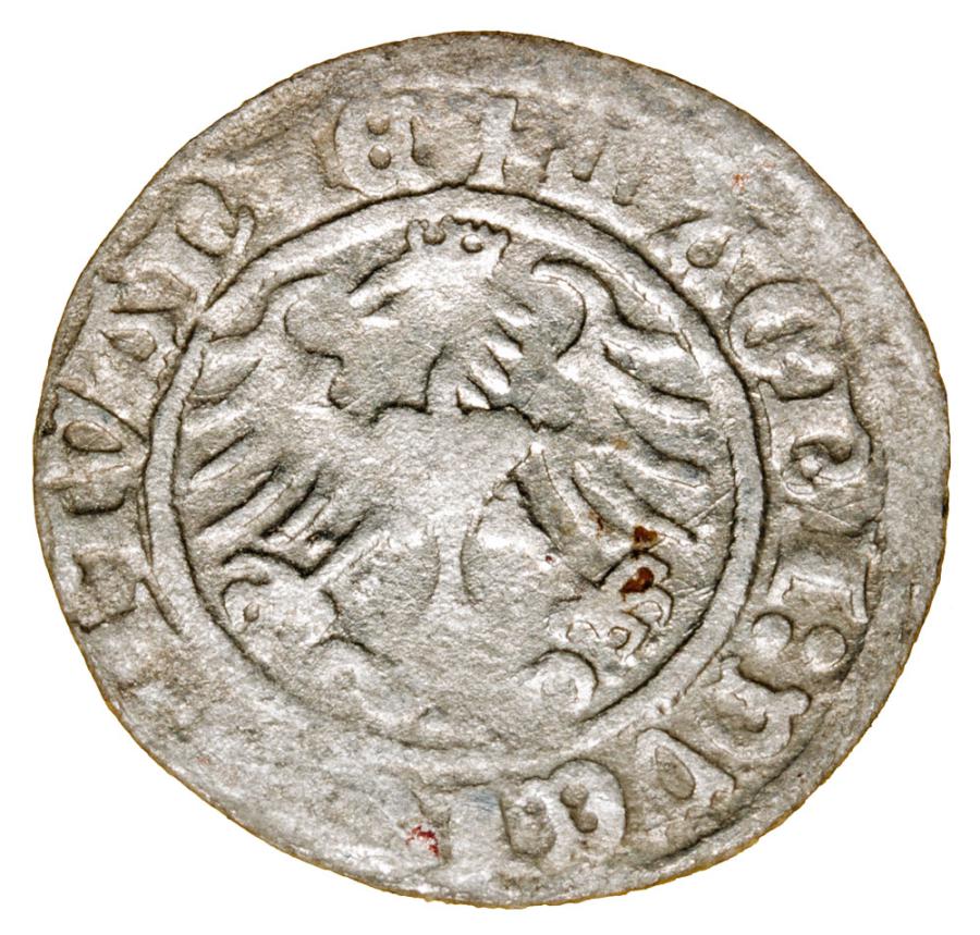 Demi-grosz 1513 Sigismond Ier de la Vieille Lituanie Vilnius