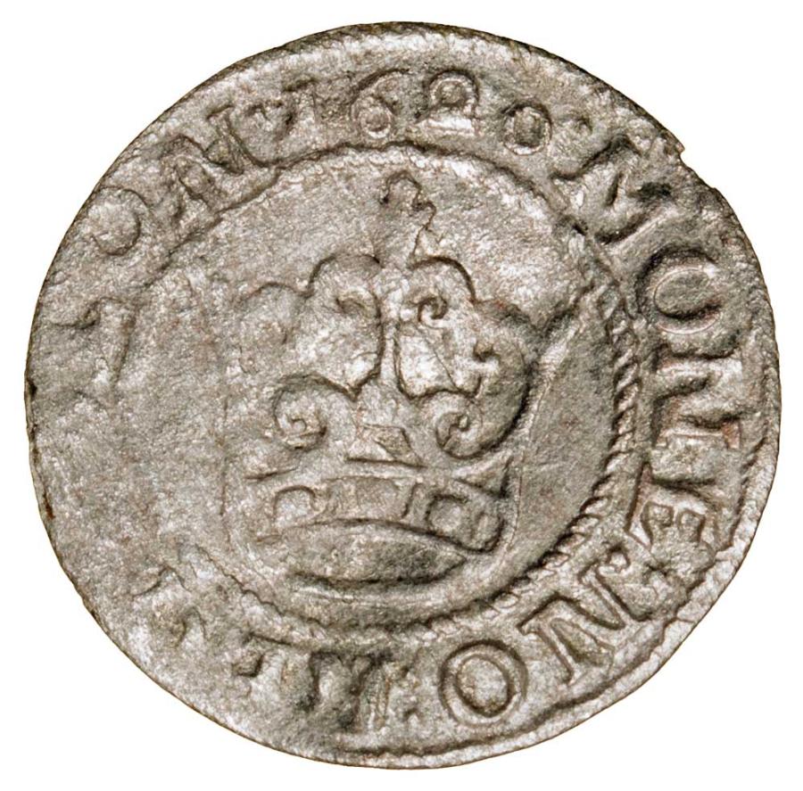 Demi-grosz 1620 Sigismond III Vasa Pologne Bydgoszcz