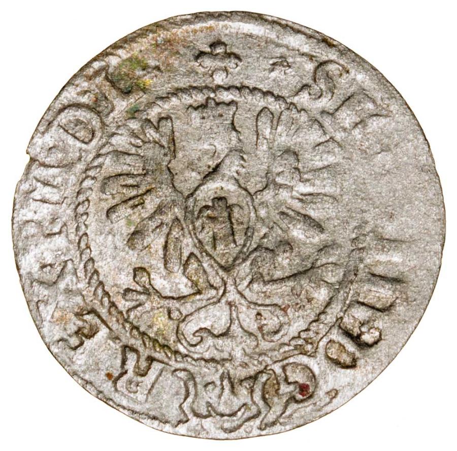 Demi-grosz 1620 Sigismond III Vasa Pologne Bydgoszcz