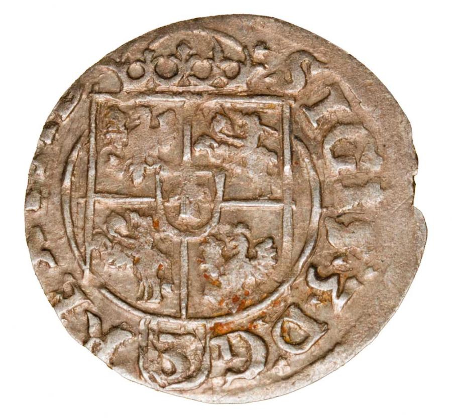 Półtorak 1619 Sigismond III Vasa Pologne Bydgoszcz