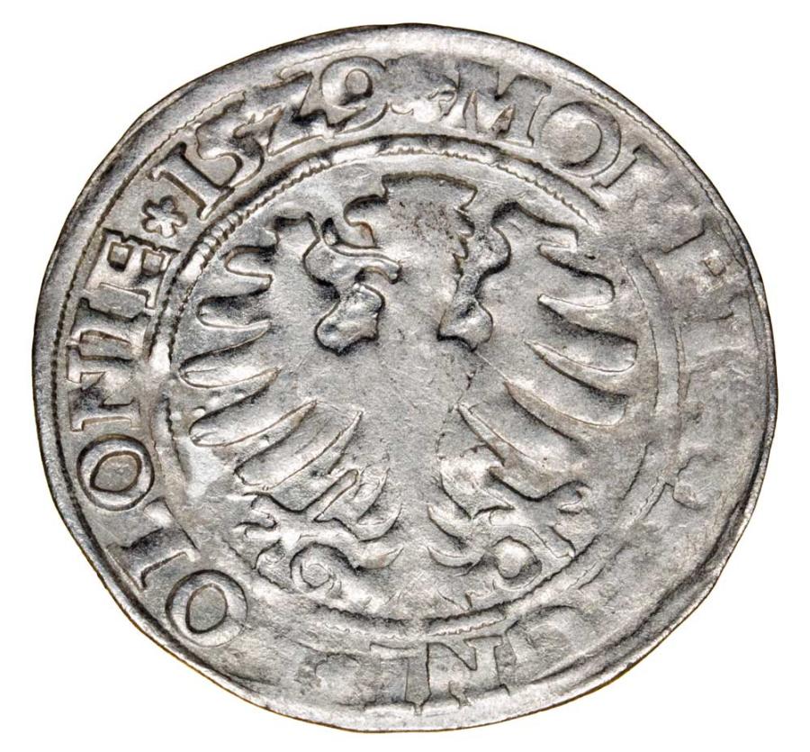 Grosz 1529 Sigismond Ier de la Vieille Pologne Cracovie