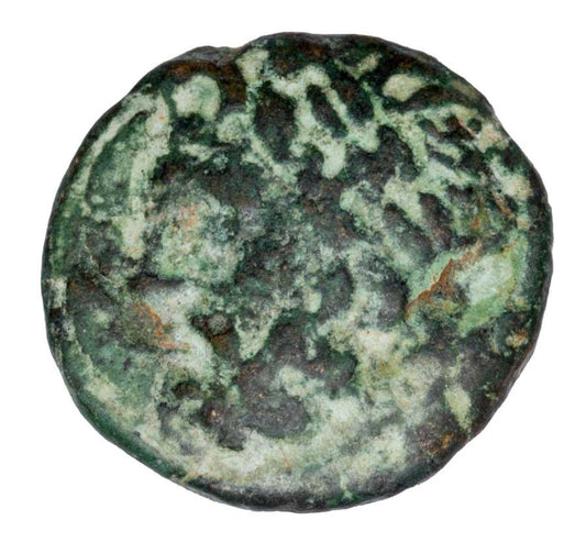 Bronze 234-168 av. J.-C. Grèce Royaume d'Épire Zeus