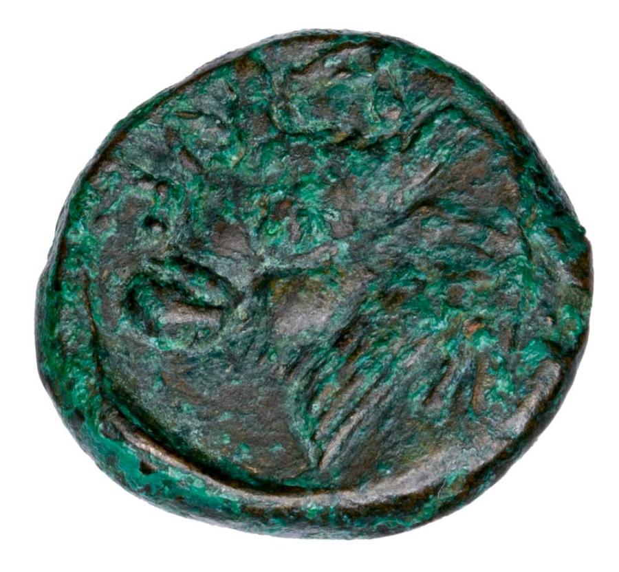 Panticapée en bronze, IVe siècle av. J.-C., Grèce, Thrace, Taureau satyre