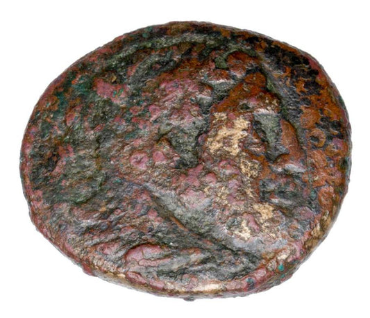 Bronze 305-298 av. J.-C. Cassandre Grèce Macédoine Héraclès