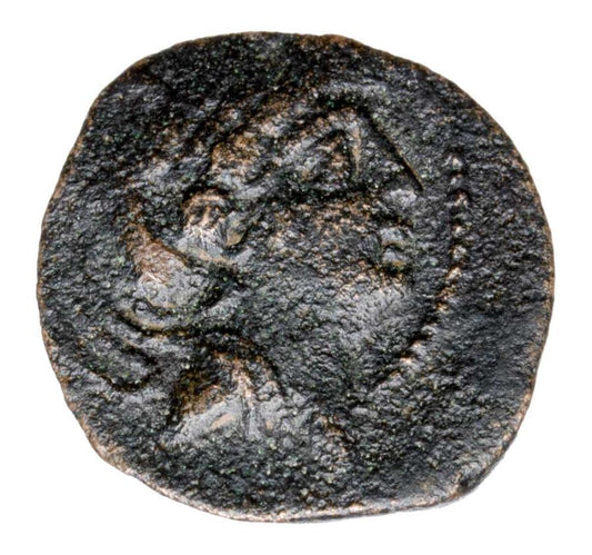 Bronze 121-96 av. J.-C. Antiochus VIII Grypos Grèce Séleucide