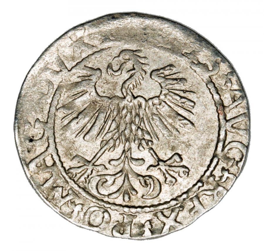 Demi-grosz 1561 Sigismond II Auguste Lituanie Vilnius