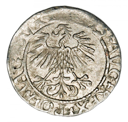Demi-grosz 1561 Sigismond II Auguste Lituanie Vilnius