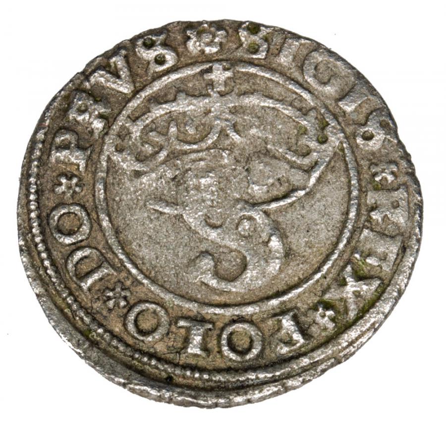 Szeląg 1529 Sigismond Ier la Vieille Pologne Toruń
