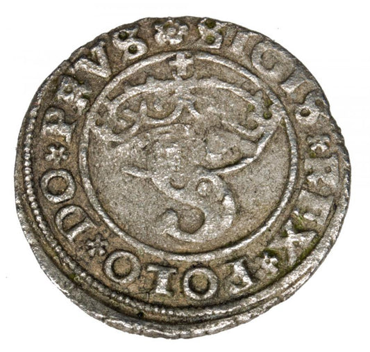 Szeląg 1529 Sigismond Ier la Vieille Pologne Toruń