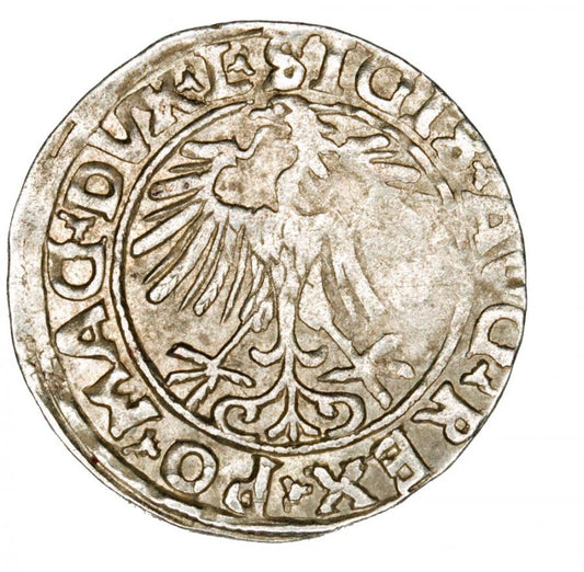 Demi-grosz 1556 Sigismond II Auguste Lituanie Vilnius