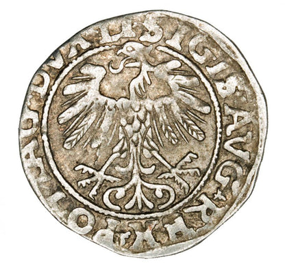 Demi-grosz 1557 Sigismond II Auguste Lituanie Vilnius
