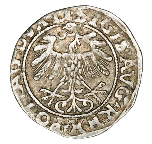 Demi-grosz 1557 Sigismond II Auguste Lituanie Vilnius