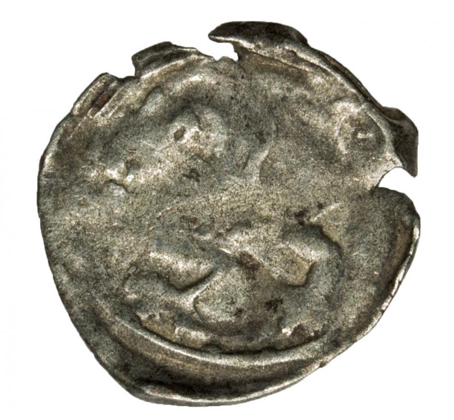 Denarius Lily Griffin Dymin Poméranie occidentale