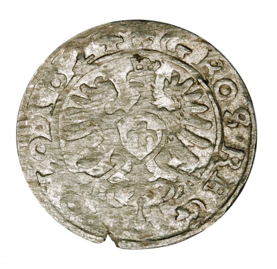 Grosz 1624 Sigismond III Vasa Pologne Cracovie