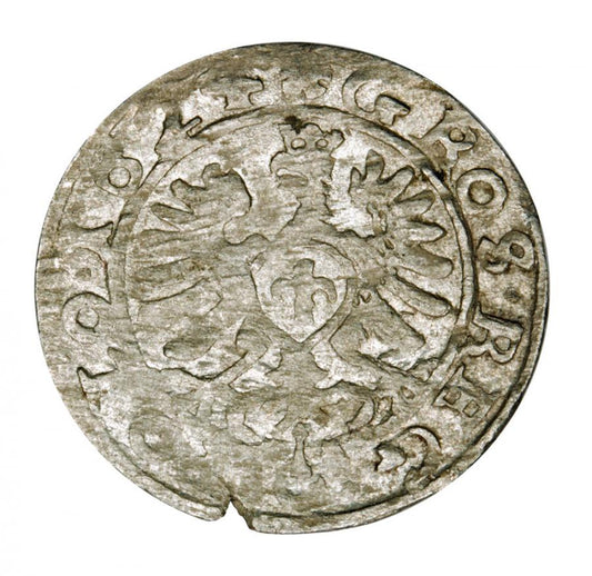 Grosz 1624 Sigismond III Vasa Pologne Cracovie