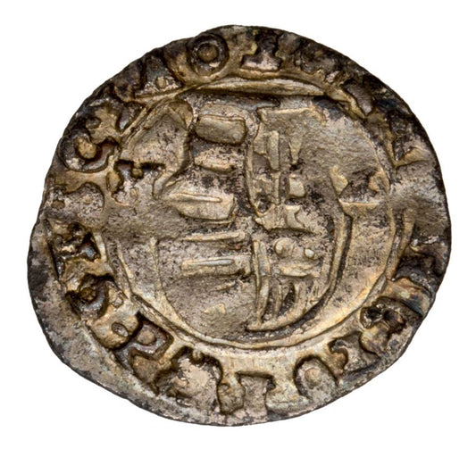 Denier Ferdinand II Habsbourg Hongrie