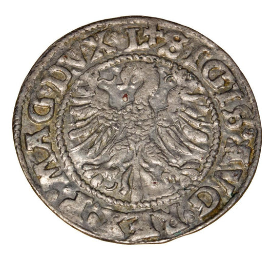 Demi-grosz 1546 Sigismond II Auguste Lituanie Vilnius