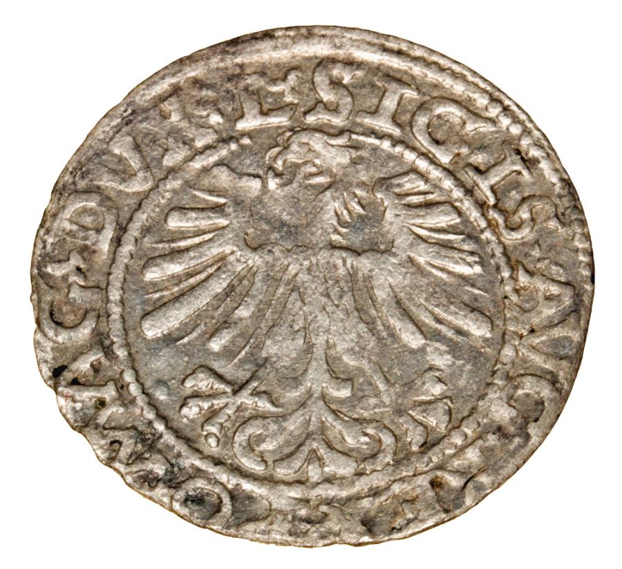 Demi-grosz 1562 Sigismond II Auguste Lituanie Vilnius