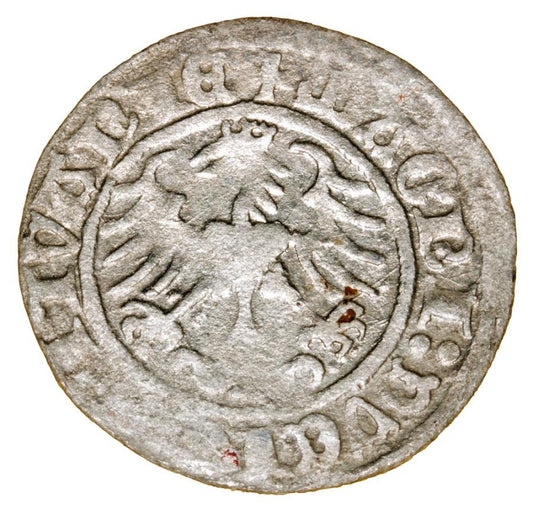 Demi-grosz 1513 Sigismond Ier de la Vieille Lituanie Vilnius