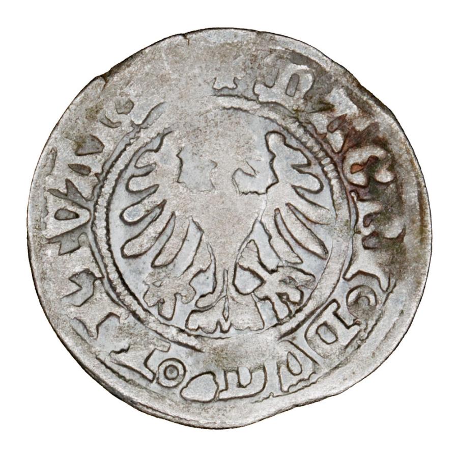 Demi-grosz 1501-1506 Alexandre Jagellon Lituanie Vilnius