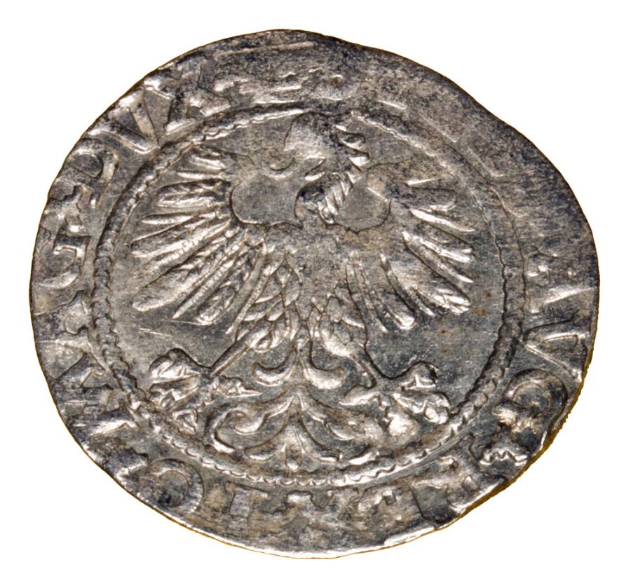 Demi-grosz 1560 Sigismond II Auguste Lituanie Vilnius