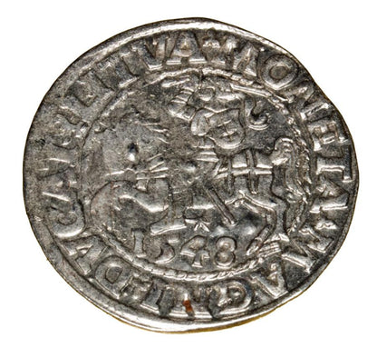 Demi-grosz 1548 Sigismond II Auguste Vilnius