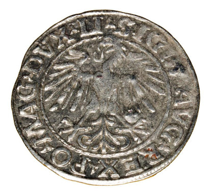 Demi-grosz 1548 Sigismond II Auguste Vilnius