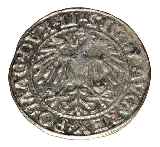 Demi-grosz 1548 Sigismond II Auguste Vilnius