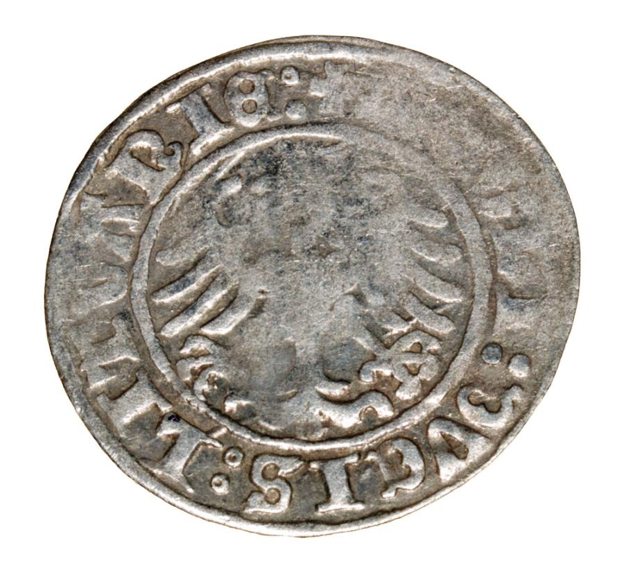 Demi-grosz 1509 Sigismond Ier de la Vieille Lituanie Vilnius