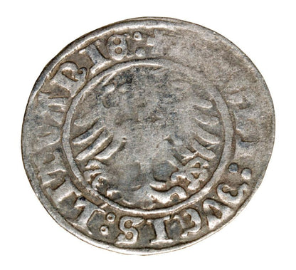 Demi-grosz 1509 Sigismond Ier de la Vieille Lituanie Vilnius