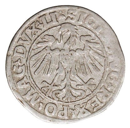 Demi-grosz 1547 Sigismond II Auguste Lituanie Vilnius