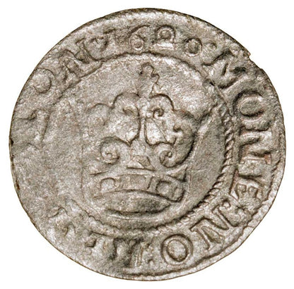 Demi-grosz 1620 Sigismond III Vasa Pologne Bydgoszcz