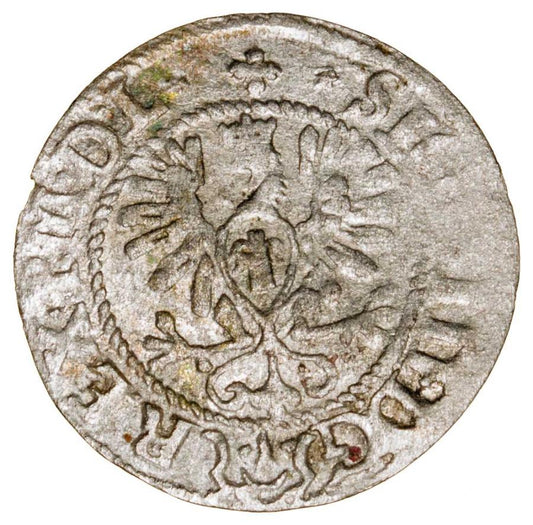 Demi-grosz 1620 Sigismond III Vasa Pologne Bydgoszcz