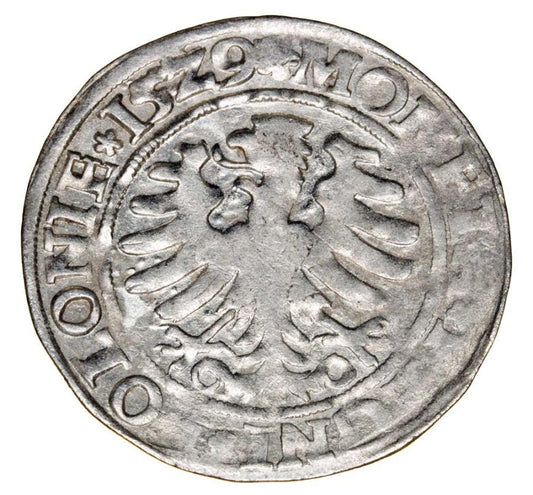 Grosz 1529 Sigismond Ier de la Vieille Pologne Cracovie