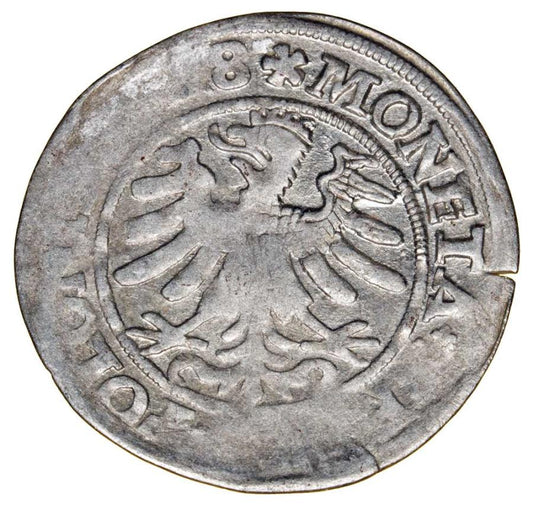 Grosz 1528 Sigismond Ier de la Vieille Pologne Cracovie