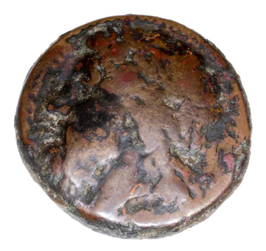 Bronze 275-240 av. J.-C. Grèce Cilicie Akragas