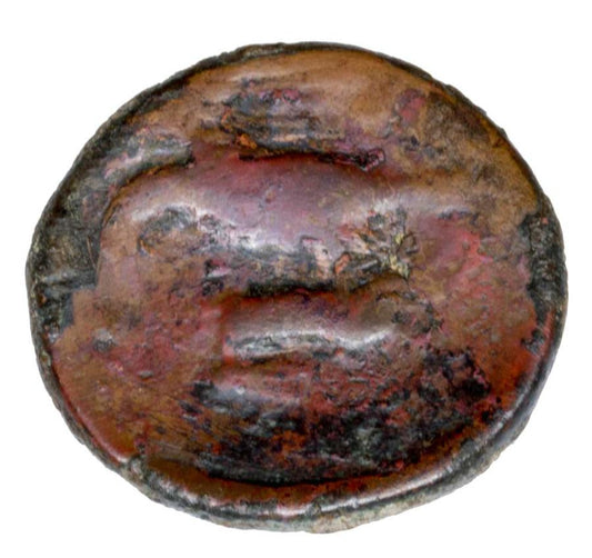 Bronze 275-240 av. J.-C. Grèce Cilicie Akragas