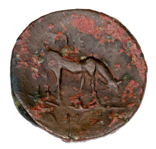 Bronze 168-158 av. J.-C. Grèce Macédoine Athéna