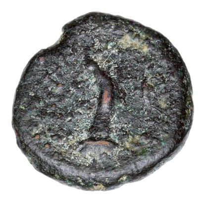 Bronze Grèce Décapole Tyché