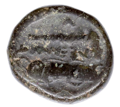 Bronze 336-323 av. J.-C. Grèce Macédoine Héraclès