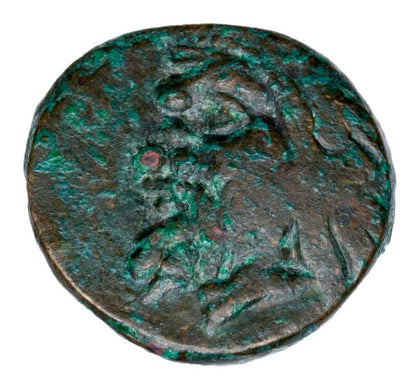 Panticapée en bronze, IVe siècle av. J.-C., Grèce, Thrace, Taureau satyre