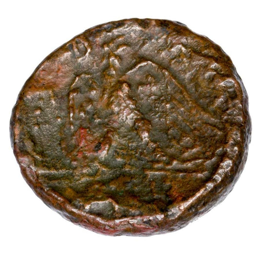 Bronze 178-168 av. J.-C. Grèce Macédoine Persée