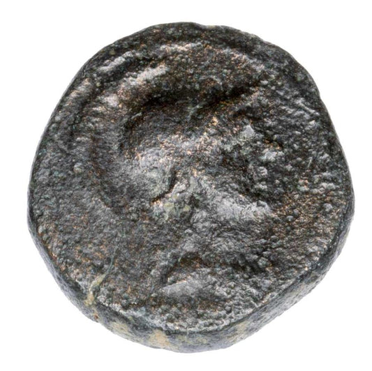 Bronze 95-63 av. J.-C. Grèce Eusebia Césarée Cappadoce
