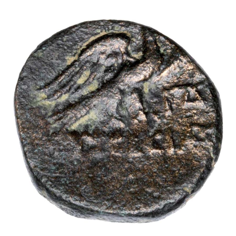 Bronze 95-63 av. J.-C. Grèce Eusebia Césarée Cappadoce