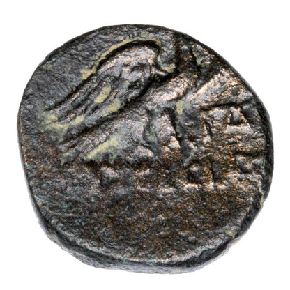 Bronze 95-63 av. J.-C. Grèce Eusebia Césarée Cappadoce