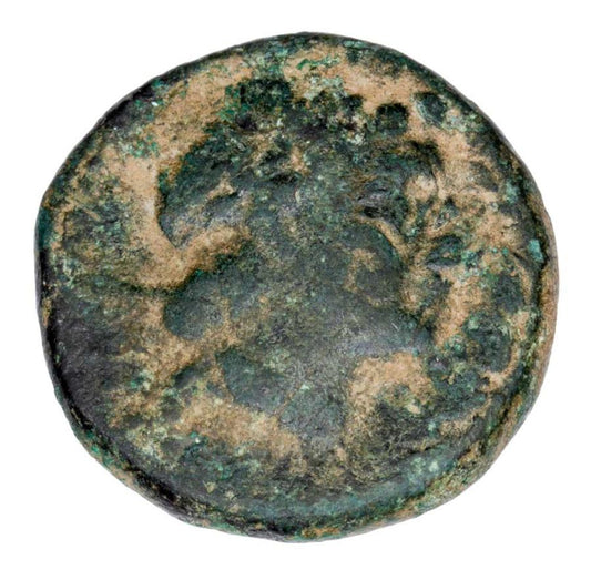 Bronze 280-261 av. J.-C. Antiochus Ier Sôter Grèce Séleucide Apollon