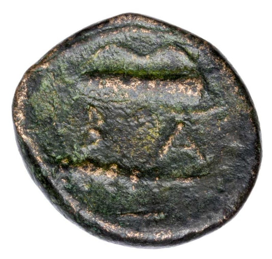 Alexandre III de bronze, Grèce, Alexandrie, Héraclès